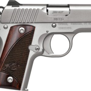Kimber Micro SS RW 380 ACP