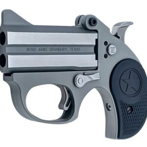 Bond Arms Stinger 380 ACP