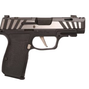 SIG SAUER P365 AXG Equinox